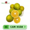 Cam Xoàn Lai Vung