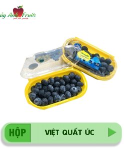 Việt quất