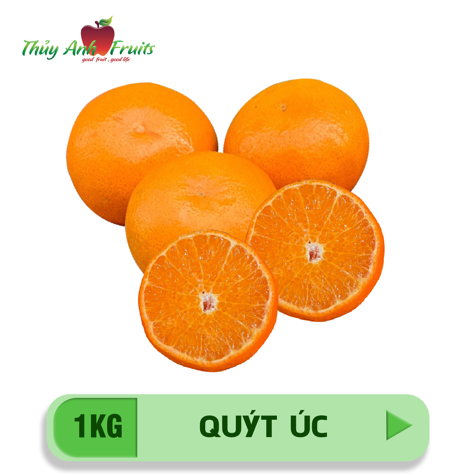 menueditor_item_6e3e46f6f1e549ae837aed2a775e4906_1748596319304490127
