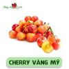 Cherry vàng Mỹ